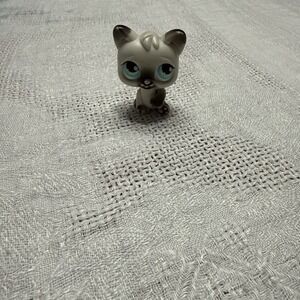 Littlest Pet Shop LPS Magic Motion Siamese Cat Blue Eyes Sticks Out Tongue  2005